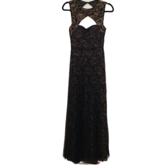 BCBG Paris Dresses & Skirts - BCBG | Black &Gold Open Back Tulle Pleated Gown